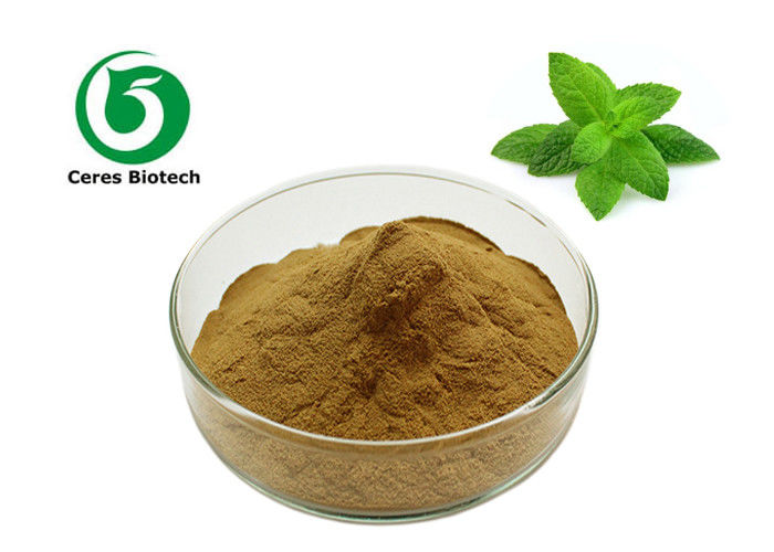 Mentha Piperita Extract 100% Wild Mint Herbal Extract Powder