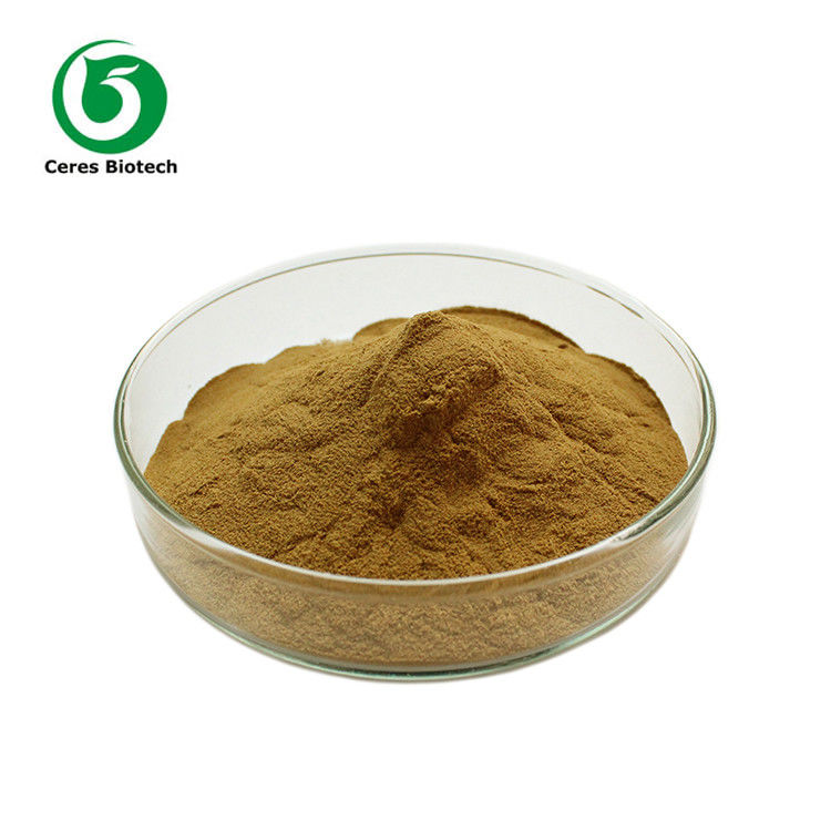 Natural 10/1 Herbal Extract Powder Sycamore Leaf Extract Powder