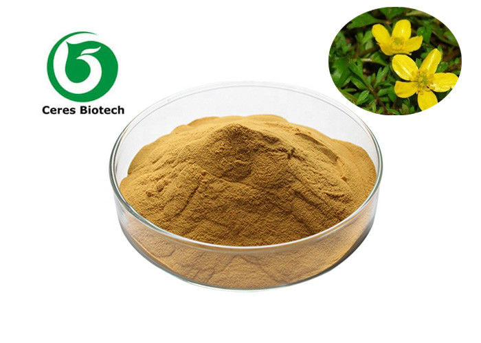 5% Herbal Extract Powder Ranunculus Ternatus Thunb Extract Cat's Claw Extract Powder
