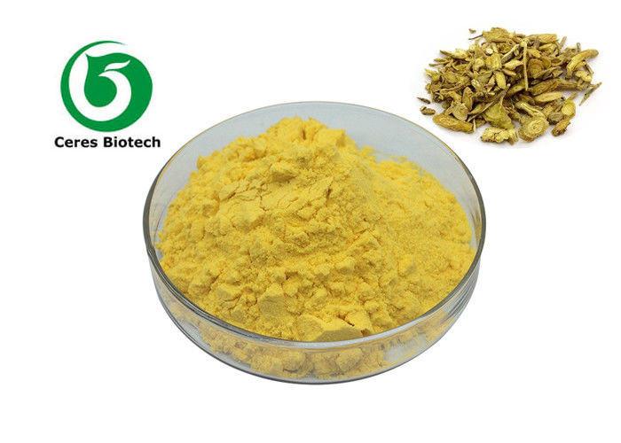 95% Herbal Extract Powder Coptis Chinensis Extract Powder Berberine HCL