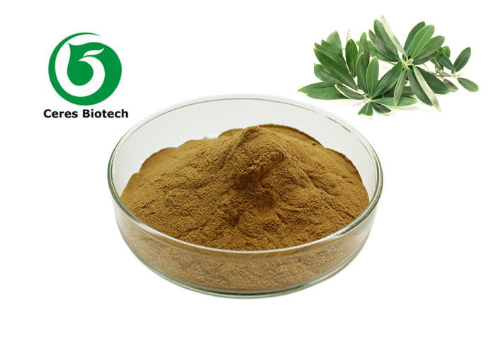 Natural Herbal 10% - 80% Olive Leaf Extract Powder Oleuropein