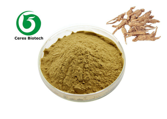 10/1 Herbal Extract Powder Dong Quai Extract Angelica Sinensis Extract Powder 80 Mesh