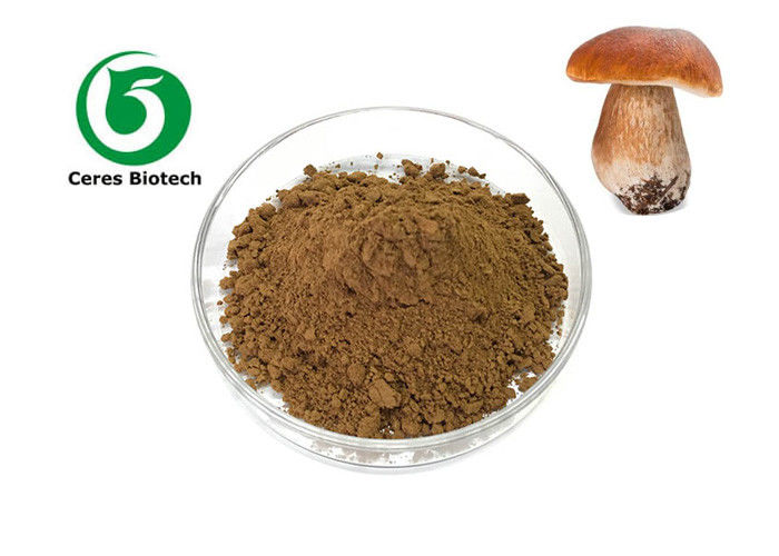 30% 50% Herbal Extract Powder Funghi Porcini Mushroom Extract Powder