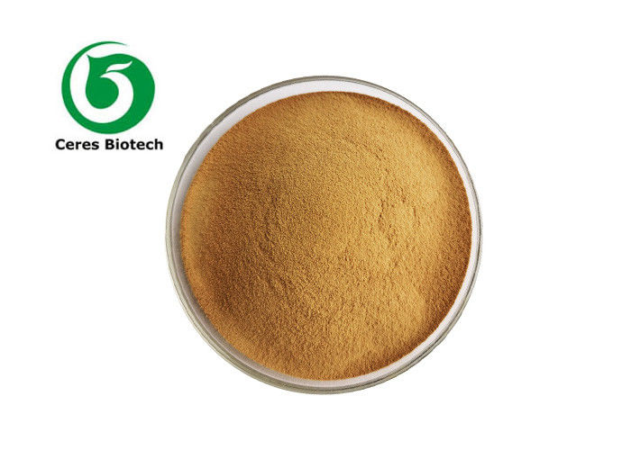 Feed Pharmaceutical Grade Nature Lentil Extract Powder Hyacinth Bean Extract