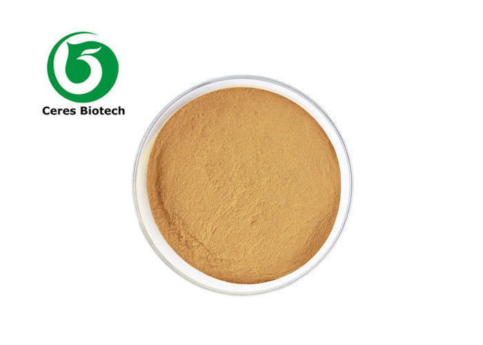 Natural Thymus Vulgaris L Thyme Extract Powder 5:1 10:1