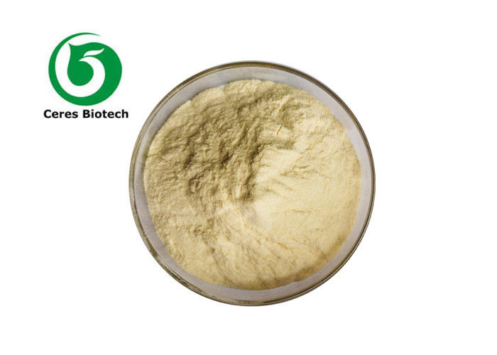 American Ginseng Root Powder Ginsenoside 80% Extract Powder