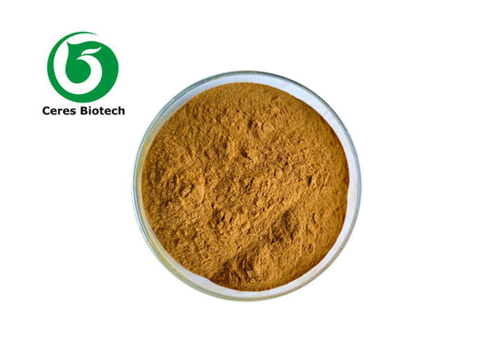 Natural Dhm Dihydromyricetin 98% Hovenia Dulcis Extract