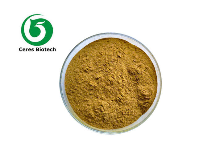 Coprinus Comatus Coprinus Setas Extract Powder 20% 30%