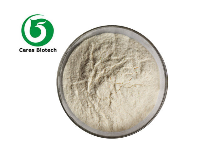Natural Odorless Garlic Extract Powder High Purity Allicin 98%