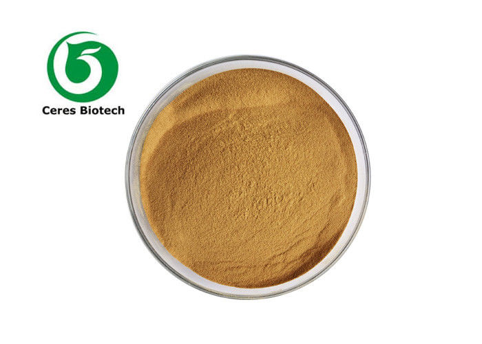 Natural Jujubosides 3% Red Date Red Jujube Seed Extract Powder