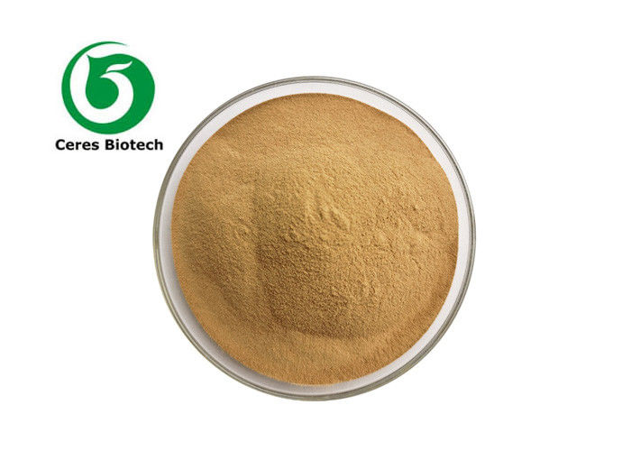 Food Grade Artemisia Abrotanum Extract Powder Southernwood Extract