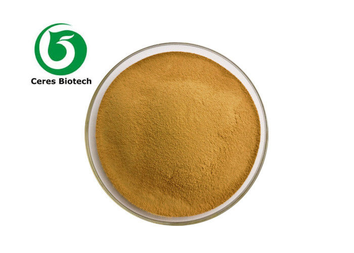 10/1 20/1 Pure Natural Buckwheat Extract Powder regulate blood lipid