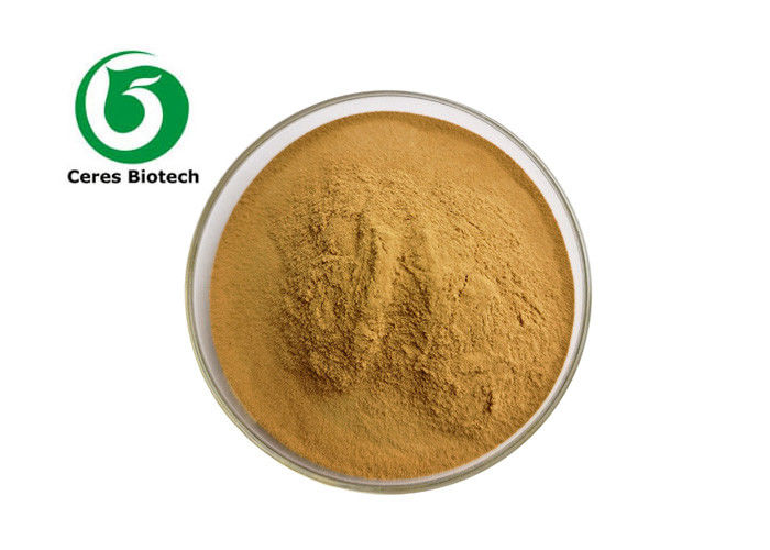 Cosmetic Ingredient Herbal Extract Powder Melilotus Officinale Extract 20/1
