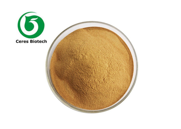 2.5% 8% Triterpene Glycosides Black Cohosh Extract Powder