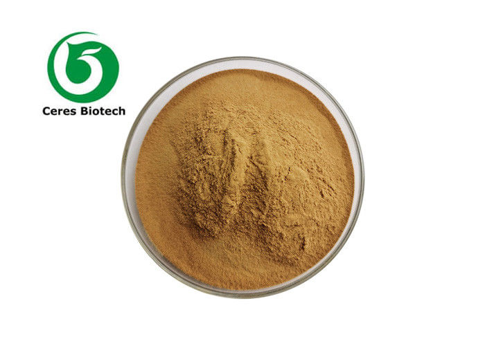 90% Cinnamon Cinnamomum Cassia Extract Cinnamaldehyde Extract Powder