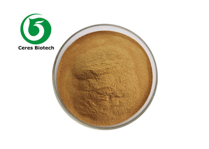 GMP 10/1 Herbal Extract Powder Spine Date Seed Extract Powder