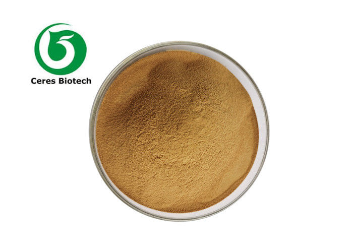 Natrual Mulberry Leaf Extract Powder 1-DNJ 1%-20%