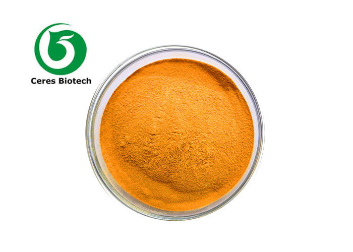 Lycium Barbarum Polysaccharide 30% Wolfberry Powder Goji Extract Powder