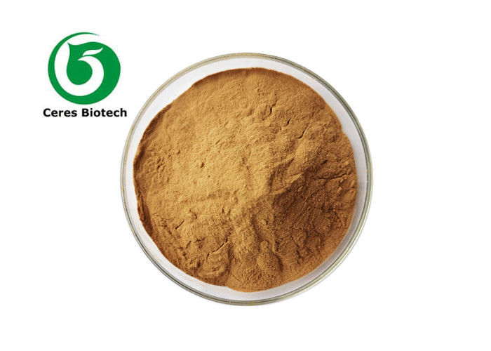 Natural Herbal Extract Powder Polygonatum Sibiricum Extract Powder 80 Mesh