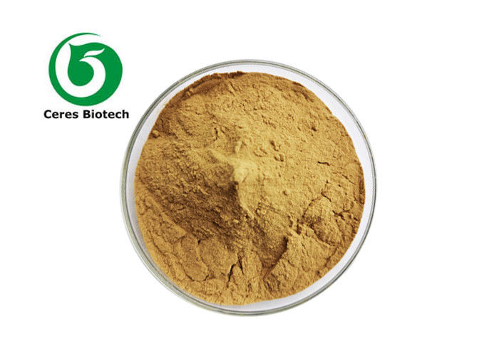 Skin Care Herbal Extract Powder Malva Sylvestris Leaf Extract