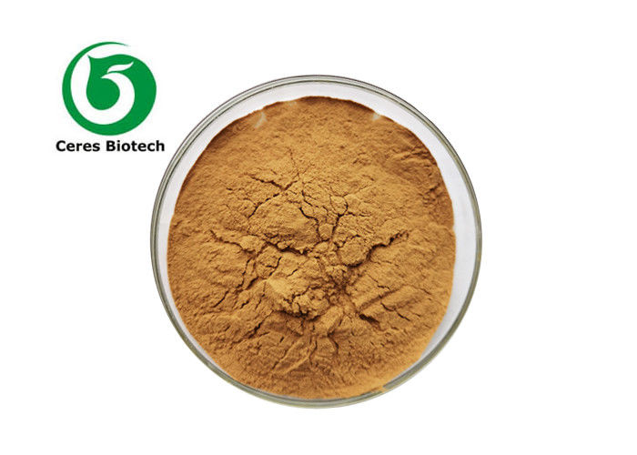 10/1 Natural Graviola Leaf Extract Soursop Extract Powder