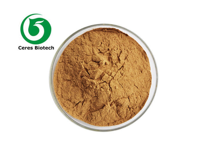 Pure Natural Ajuga Turkestanica Turkesterone Extract Powder