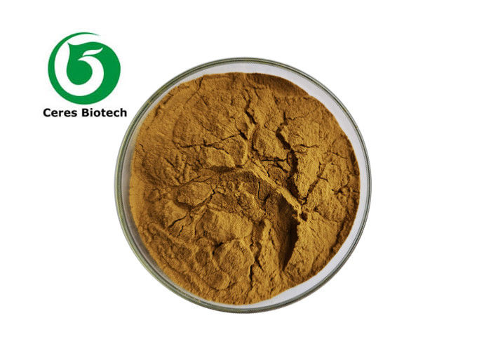 10/1 Chinese Herbal Extract Powder Prunella Vulgaris Extract Powder