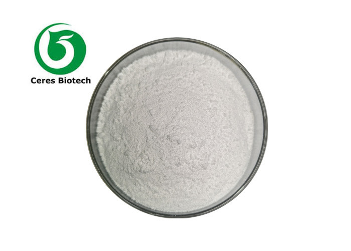 CAS 657-24-9 API Active Pharmaceutical Ingredient ISO9001 Metformin Powder