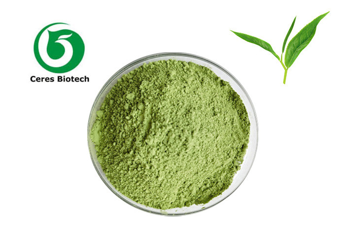 GMP Pure Matcha Powder Organic Green Tea With Skin Regenerating Vitamin C