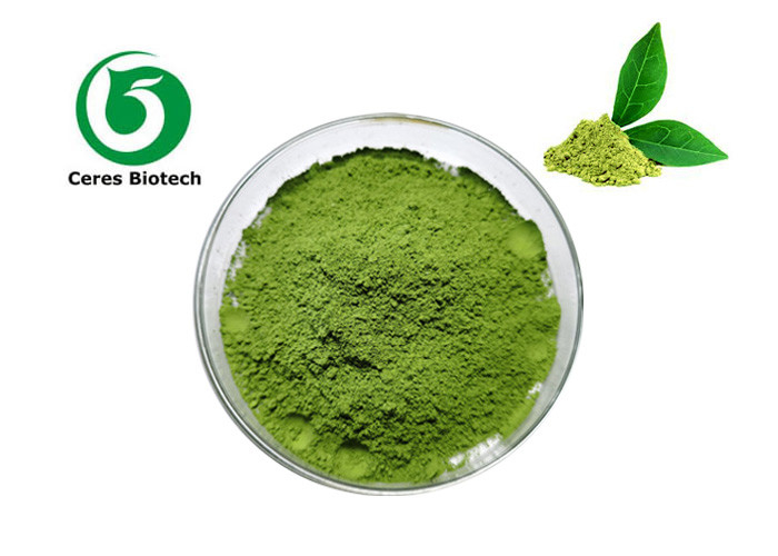 ISO9001 Organic Matcha Green Tea Powder Protein 6.64g For Beverages Food