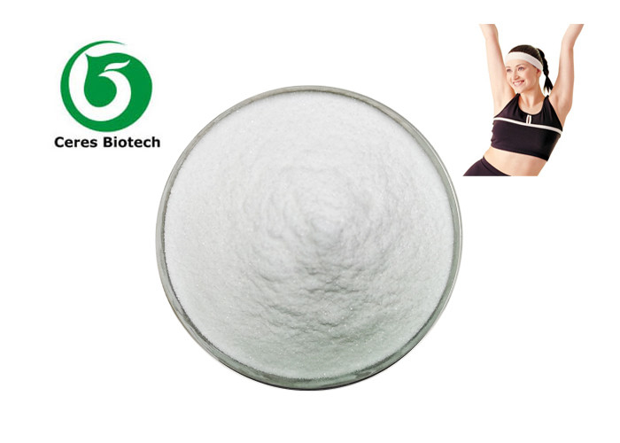 98% Amino Acid Powder L Carnitine For Bodybuilding