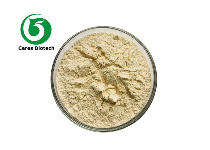 Pancreatin Powder Food Additives CAS 8049-47-6