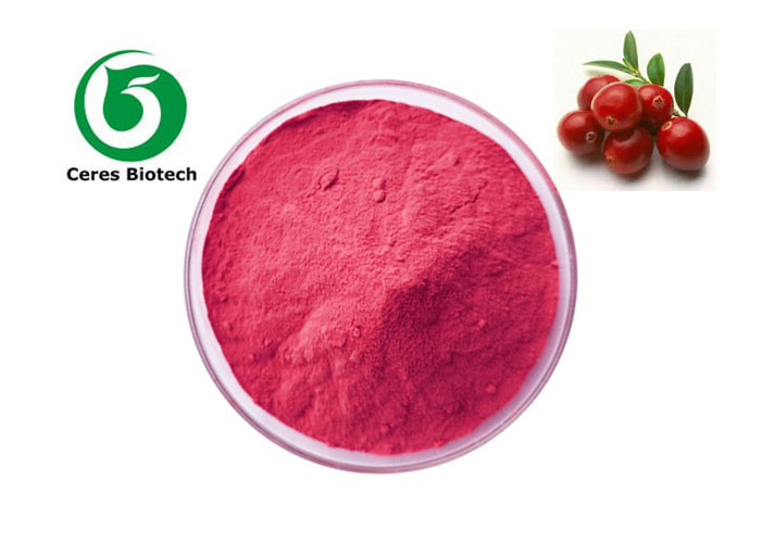 99% Freeze Dried Organic Cranberry Juice Powder Bulk Beverages Use